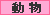 動物