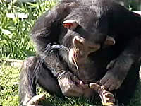 20061126-2s.jpg