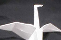20070302-3s.jpg