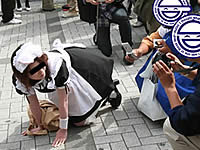 20070416-6s.jpg