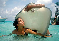 20070802-2s.jpg