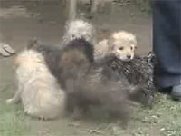 20080121-1s.jpg