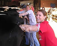 20080121-7s.jpg