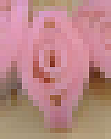 20080204-2s.jpg