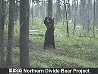 20080407-4s.jpg
