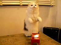 20080502-2s.jpg
