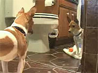 20080505-2s.jpg