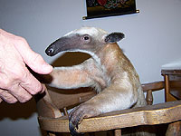 20080606-4s.jpg