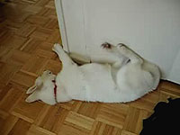 20080709-2s.jpg
