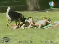 20080724-4s.jpg