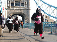 20081015-2s.jpg