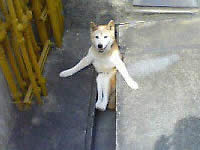20081215-8s.jpg