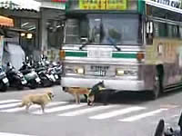 20090115-3s.jpg