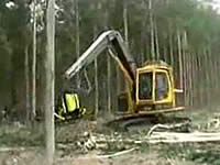 20090205-2s.jpg