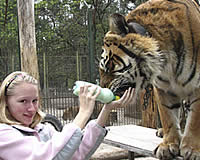20090414-6s.jpg