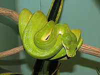 20090506-2s.jpg