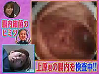 20090524-2s.jpg