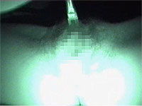 20100201-2s.jpg