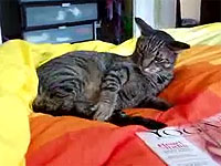 20100428-2s.jpg