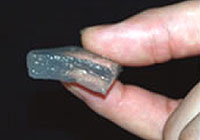 20100521-1s.jpg