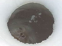 20100526-2s.jpg