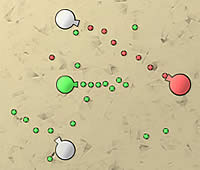20100629-3s.jpg