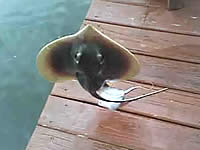 20100828-3s.jpg