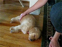 20100903-1s.jpg