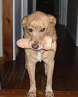 20101127-5s.jpg