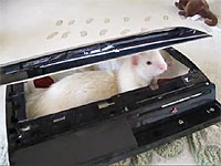20101129-1s.jpg