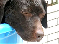 20110622-3s.jpg