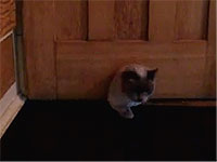 20110727-1s.jpg