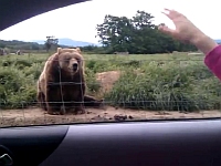 20111214-1s.jpg