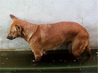 20120109-1s.jpg