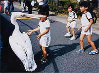 20061018-4s.jpg