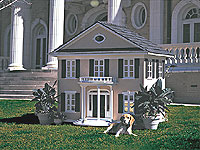 20061101-4s.jpg