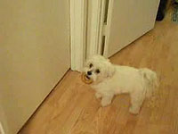 20061108-1s.jpg