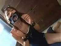 20061108-6s.jpg