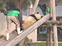 20061116-1s.jpg