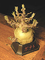 20061220-2s.jpg