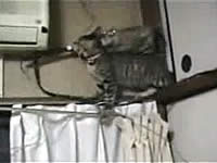 20070125-4s.jpg