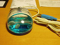 20070202-3s.jpg