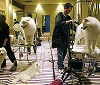 20070217-1s.jpg