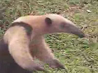 20070306-1s.jpg