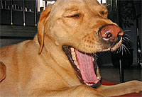 20070424-1s.jpg