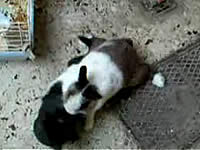 20070629-7s.jpg