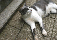 20070829-2s.jpg