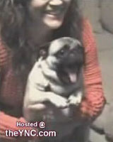 ご主人様が見せたある物に興奮するワンコ