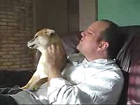 柴犬が可愛くて仕方がない外人さん