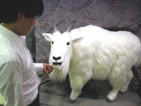20071105-2s.jpg